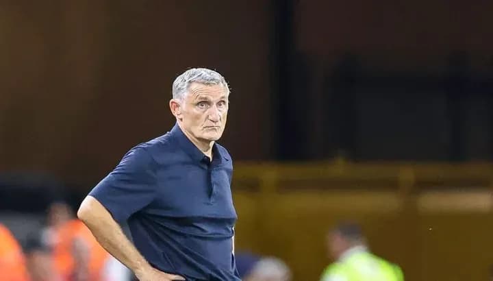 Entrenador observando el partido desde la línea de banda