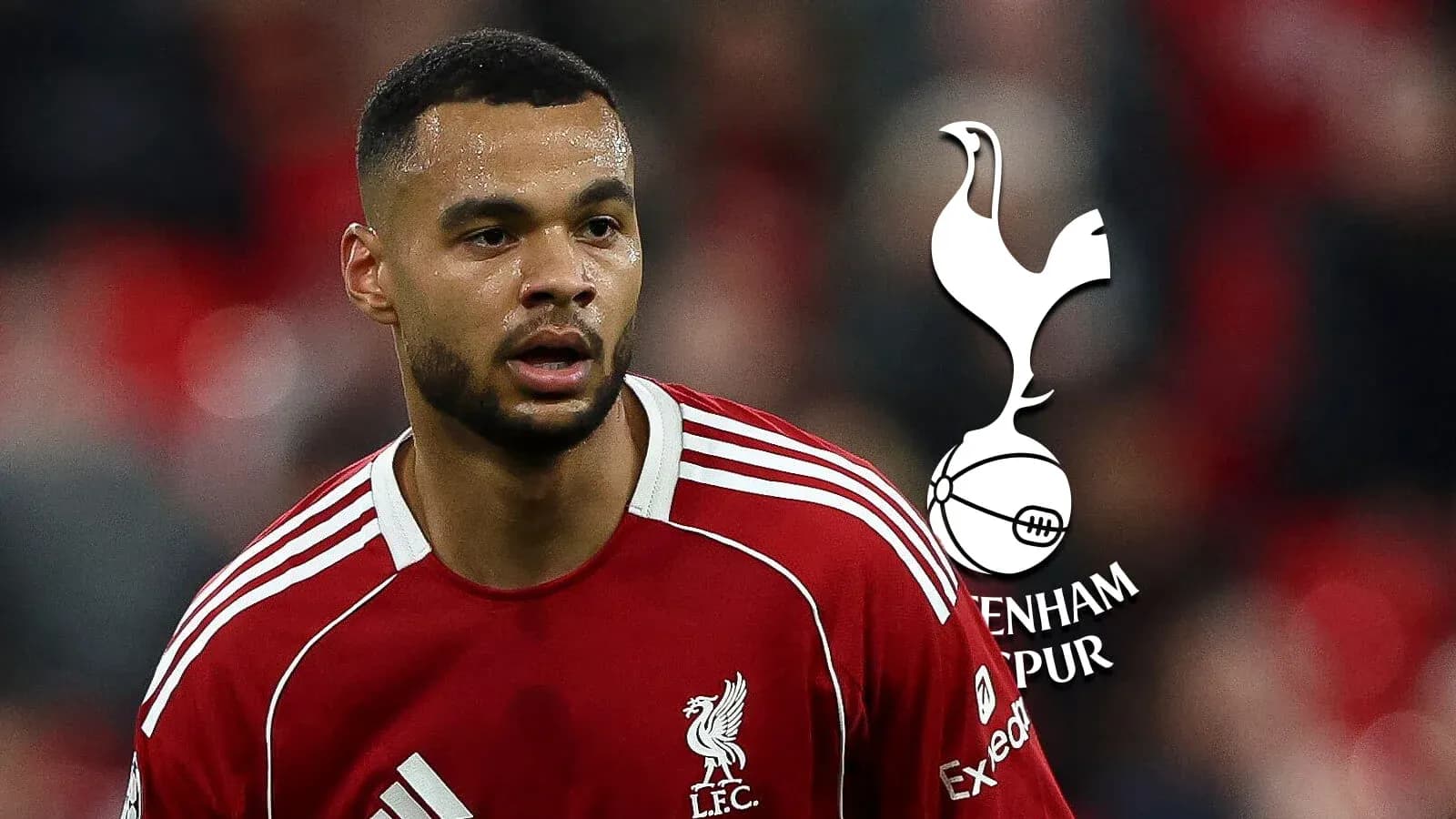 Jugador de Liverpool en partido con logo de Tottenham Jugador de Liverpool en partido con logo de Tottenham
