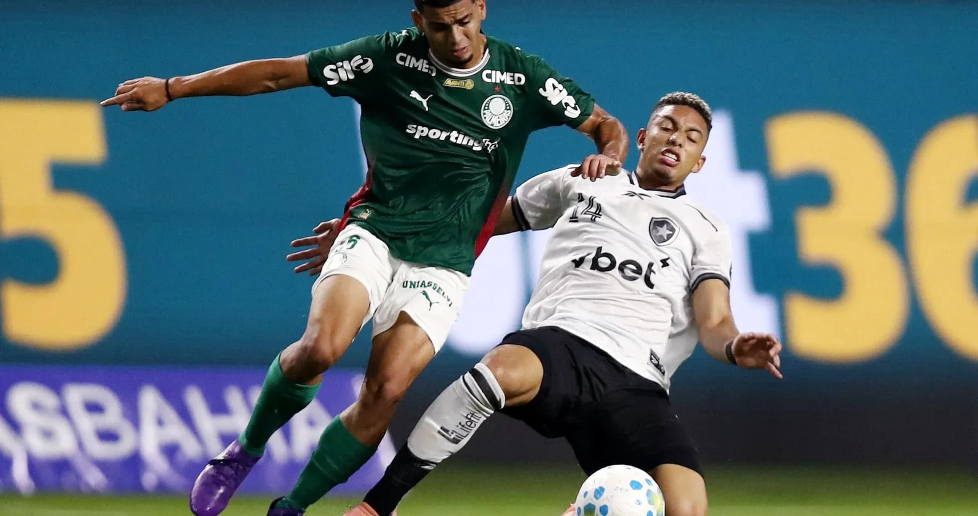 Jugadores de Botafogo y Palmeiras en acción Jugadores de Botafogo y Palmeiras en acción