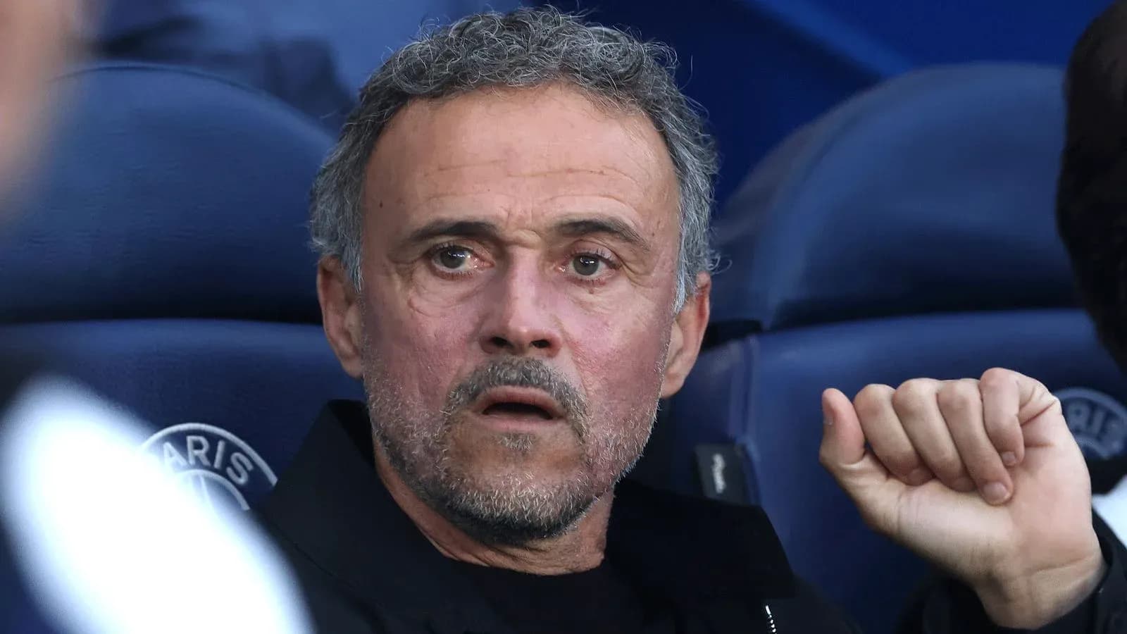 Entrenador observando el partido desde el banquillo Entrenador observando el partido desde el banquillo