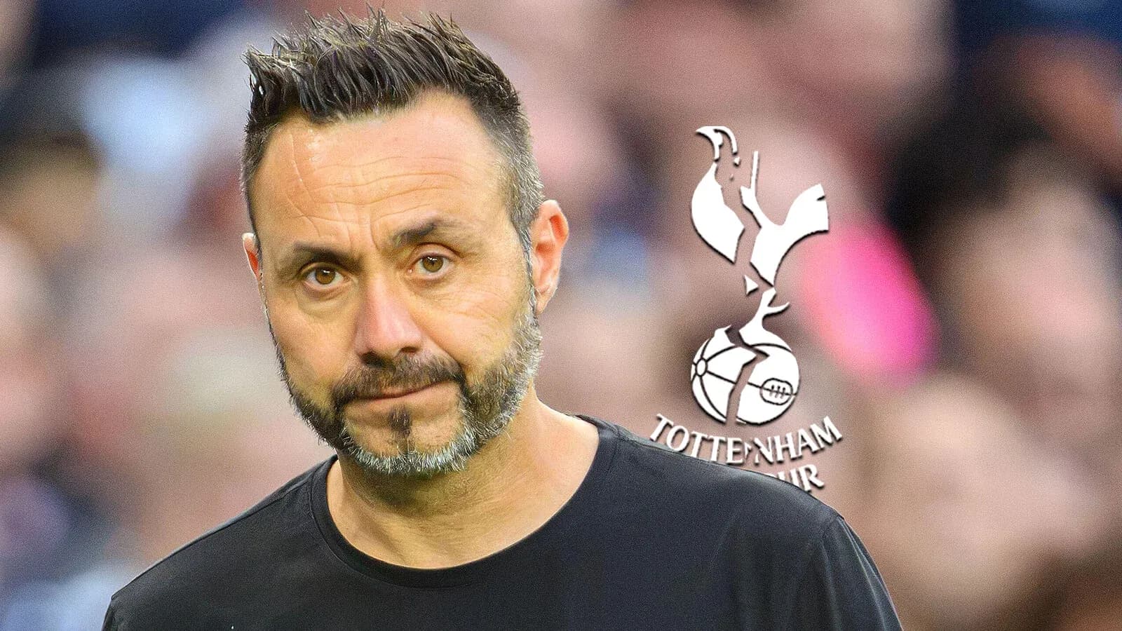 Entrenador de Tottenham Hotspur en el campo Entrenador de Tottenham Hotspur en el campo