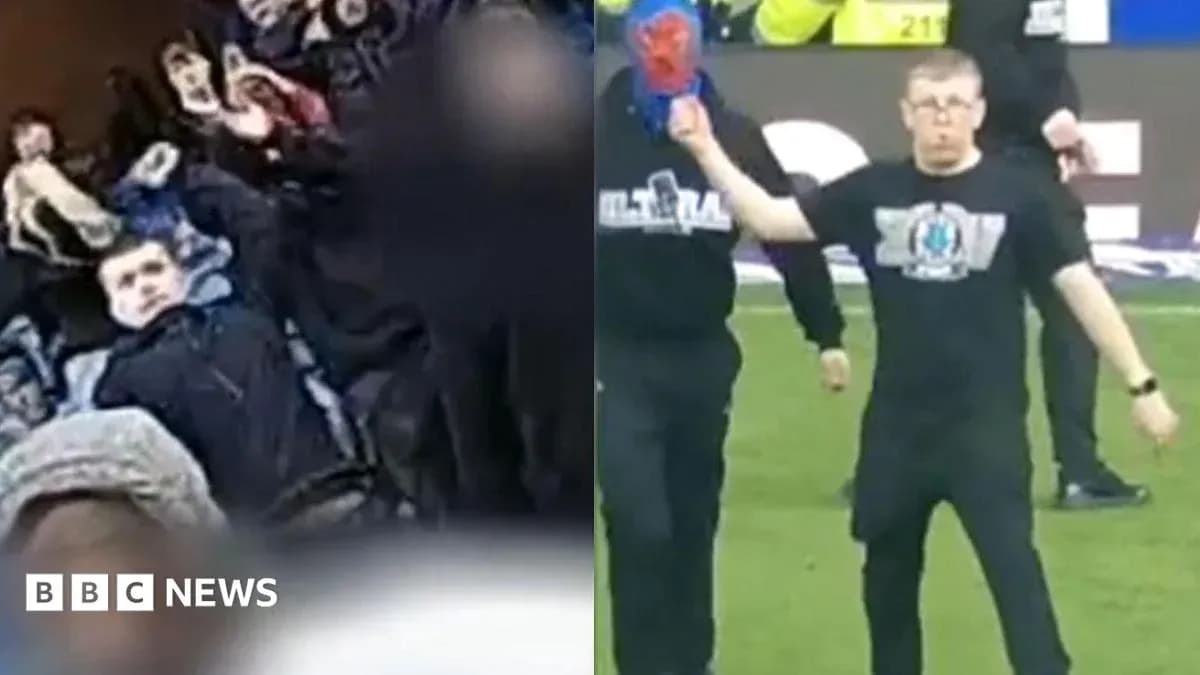 A fan celebrating and another on the pitch A fan celebrating and another on the pitch