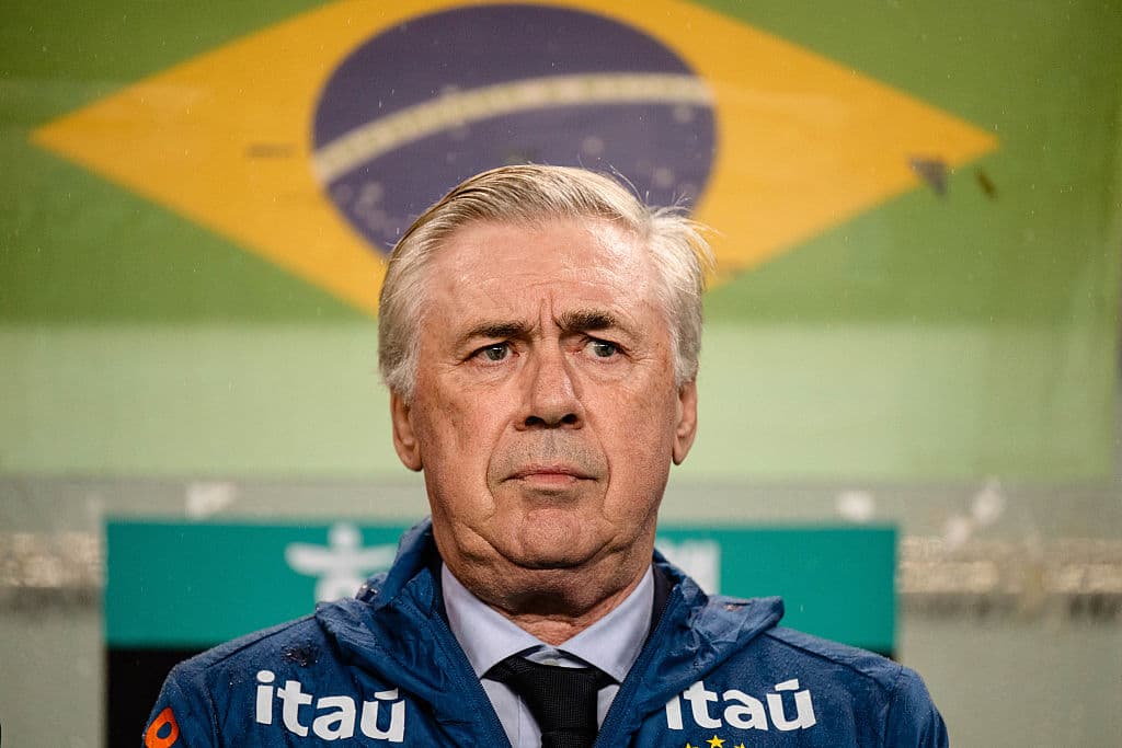 Entrenador con chaqueta de Brasil en el banquillo Entrenador con chaqueta de Brasil en el banquillo