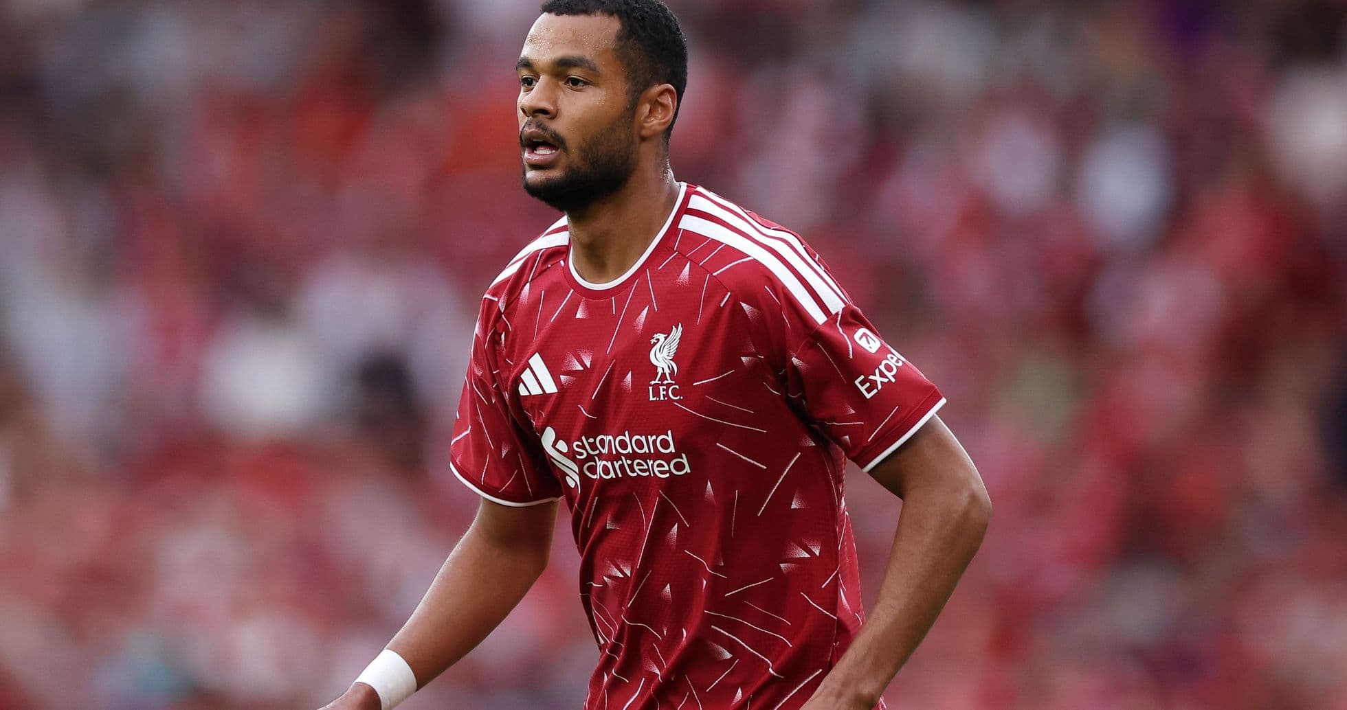 Iraola no garantiza la continuidad de Gakpo mientras Liverpool avanza por Barcola Iraola no garantiza la continuidad de Gakpo mientras Liverpool avanza por Barcola
